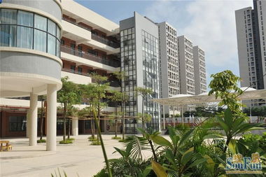 注重品質(zhì)生活，只買高性價比住宅 非居住房地產(chǎn)租賃指南