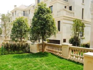 金華住宅與商業(yè)地產(chǎn)租賃市場動態(tài)及指南